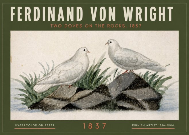 Ferdinand von Wright Two Doves on the Rocks, 1837 No2 - Plakát