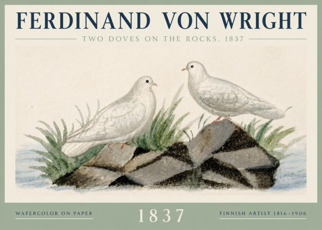 Ferdinand von Wright Two Doves on the Rocks, 1837 No3 - Plakát