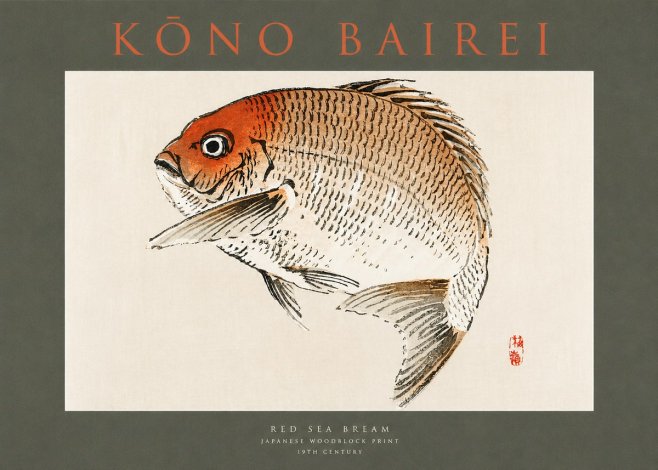 Kōno Bairei Red Sea Bream No2 - Plakát