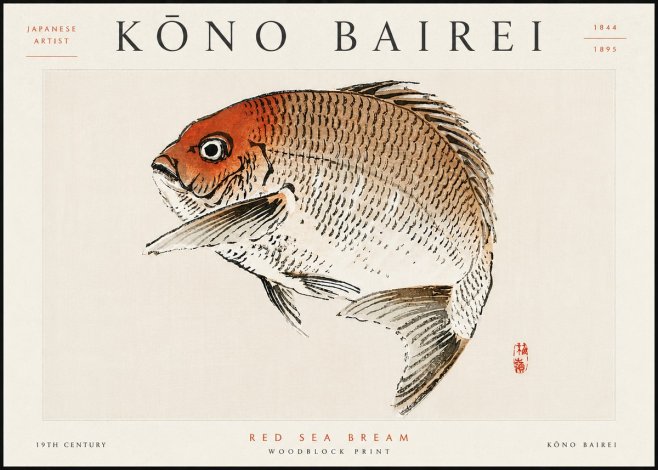 Kōno Bairei Red Sea Bream No6 - Plakát