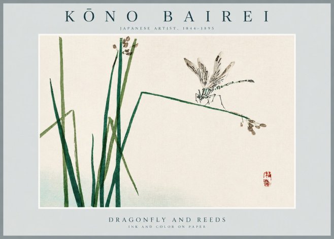 Kōno Bairei Dragonfly and Reeds No2 - Plakát