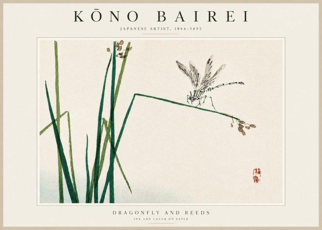 Kōno Bairei Dragonfly and Reeds No3 - Plakát