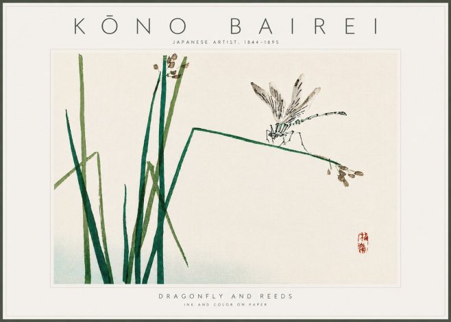 Kōno Bairei Dragonfly and Reeds No6 - Plakát