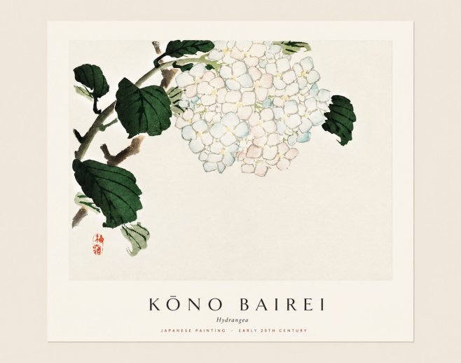 Kōno Bairei Hydrangea No1 - Plakát