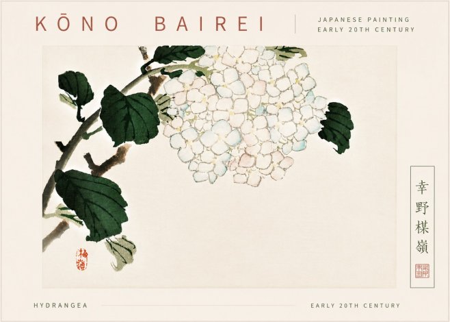 Kōno Bairei Hydrangea No6 - Plakát