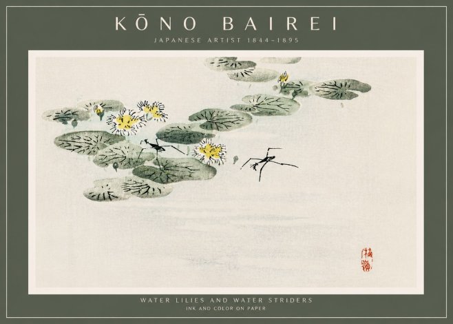 Kōno Bairei Water Lilies and Water Striders No4 - Plakát