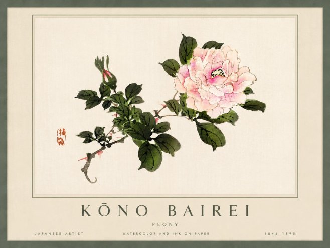 Kōno Bairei Peony I No4 - Plakát