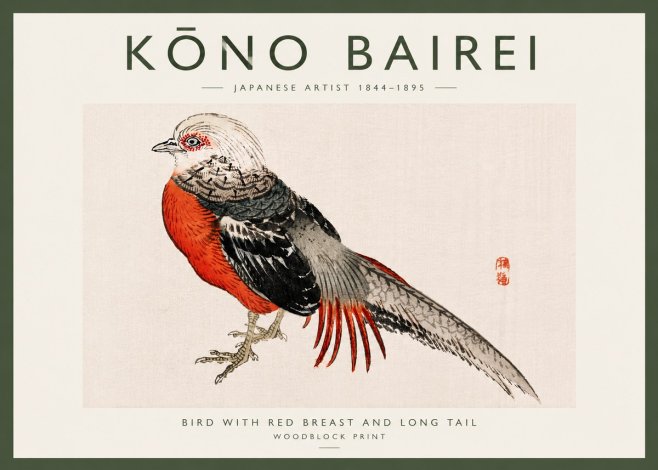 Kōno Bairei Bird with Red Breast and Long Tail No6 - Plakát