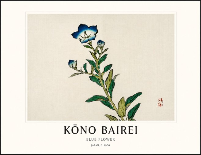 Kōno Bairei Blue Flower No1 - Plakát