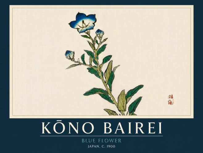 Kōno Bairei Blue Flower No2 - Plakát