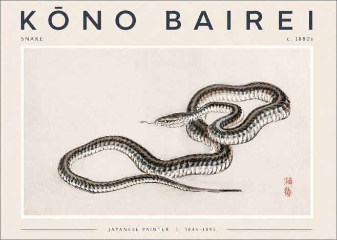 Kōno Bairei Snake No2 - Plakát
