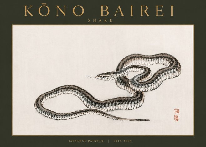 Kōno Bairei Snake No3 - Plakát