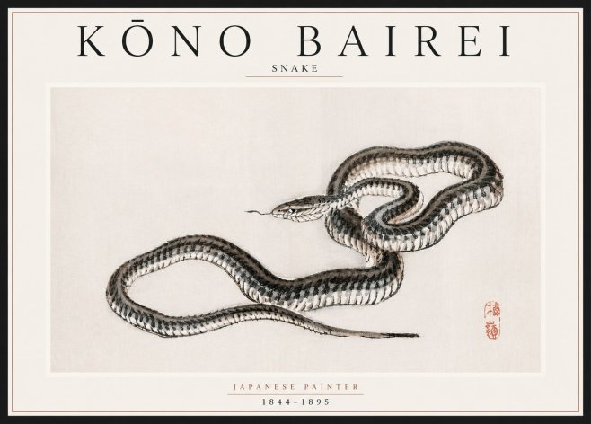 Kōno Bairei Snake No5 - Plakát