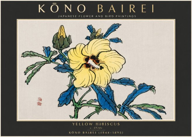 Kōno Bairei Yellow Hibiscus No5 - Plakát