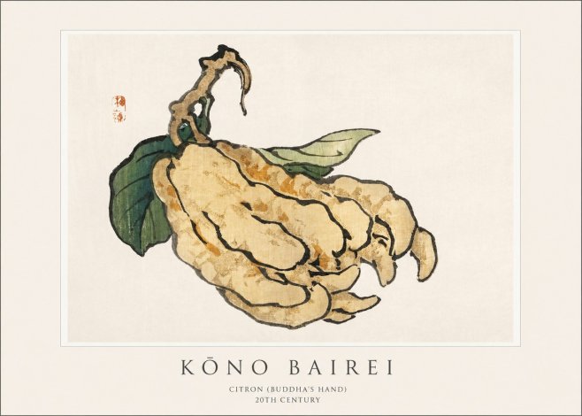Kōno Bairei Citron (Buddha's Hand) No1 - Plakát