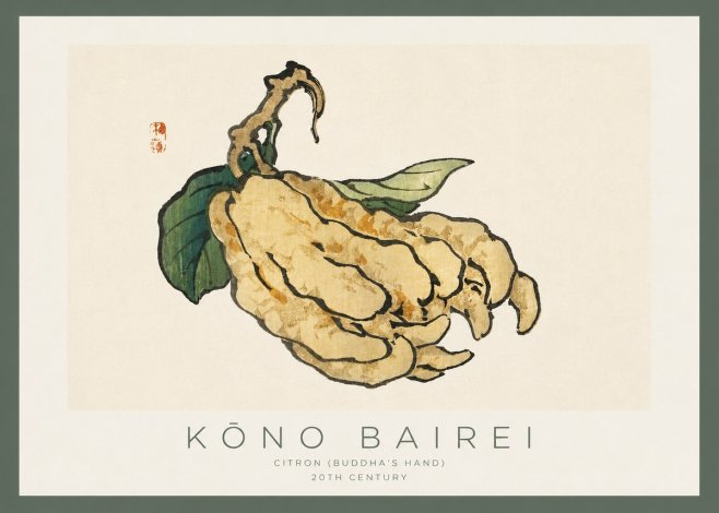 Kōno Bairei Citron (Buddha's Hand) No2 - Plakát