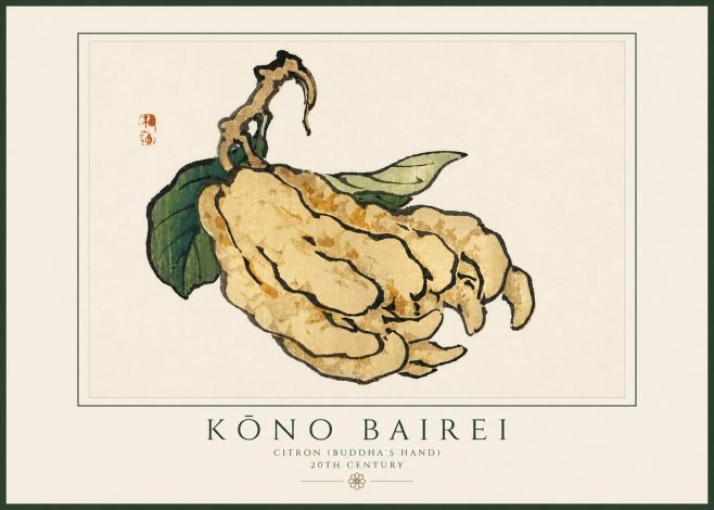 Kōno Bairei Citron (Buddha's Hand) No3 - Plakát
