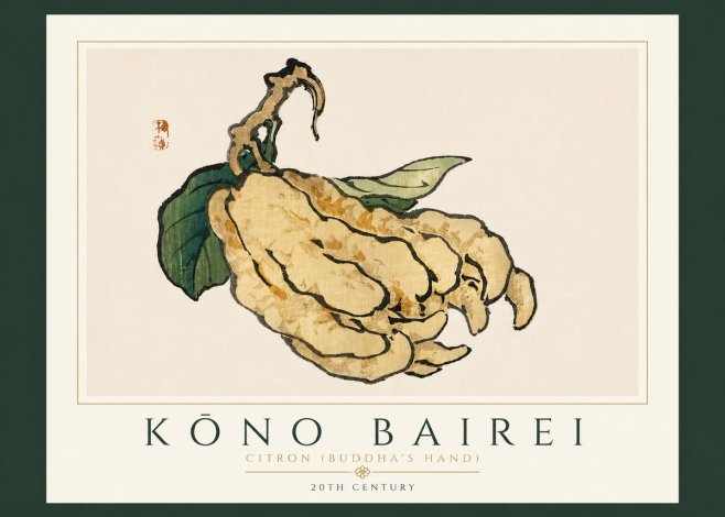 Kōno Bairei Citron (Buddha's Hand) No6 - Plakát