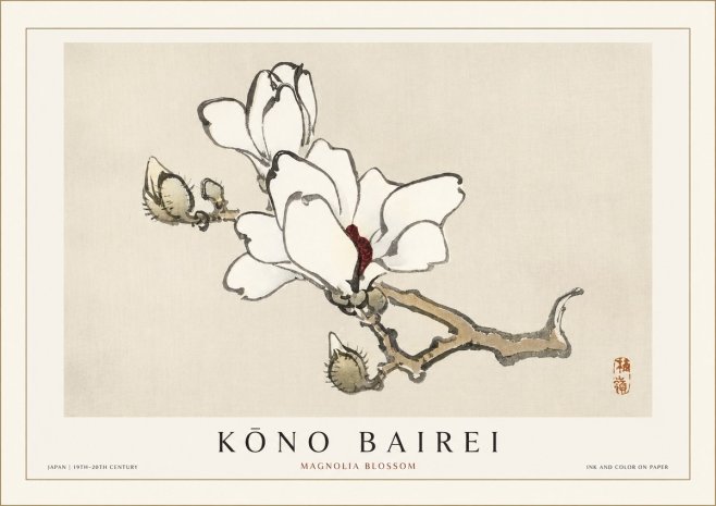 Kōno Bairei Magnolia Blossom No1 - Plakát