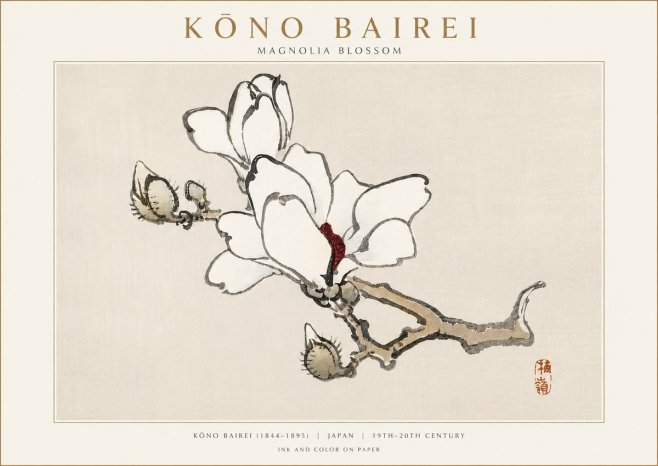 Kōno Bairei Magnolia Blossom No3 - Plakát