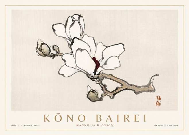 Kōno Bairei Magnolia Blossom No4 - Plakát