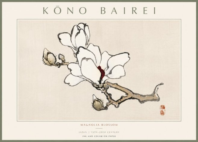 Kōno Bairei Magnolia Blossom No5 - Plakát