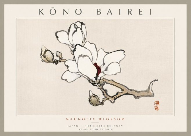 Kōno Bairei Magnolia Blossom No6 - Plakát