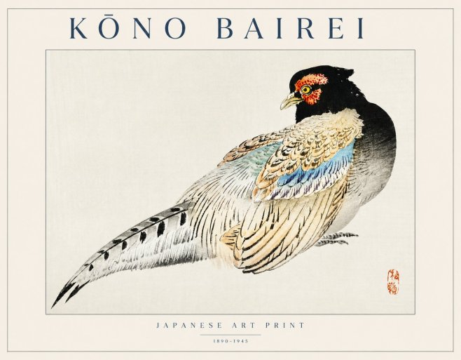 Kōno Bairei Pheasant No1 - Plakát