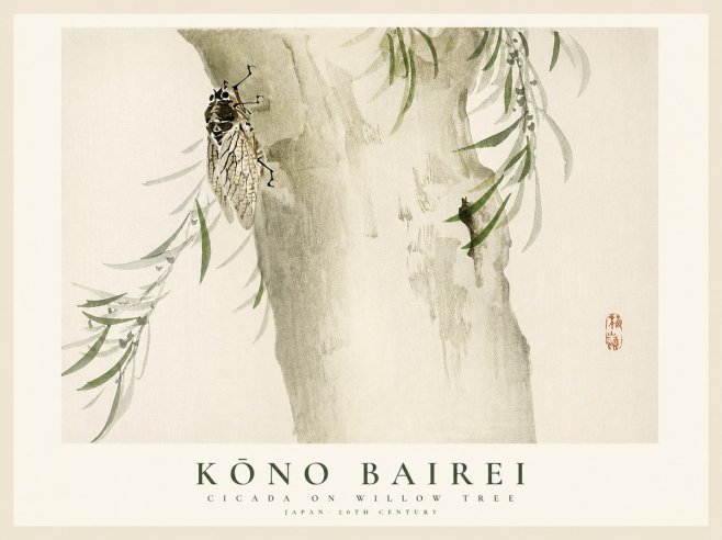 Kōno Bairei Cicada on Willow Tree No1 - Plakát