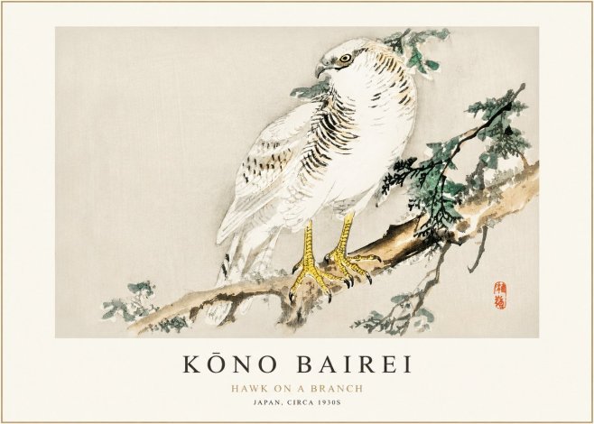 Kōno Bairei Hawk on a Branch No1 - Plakát