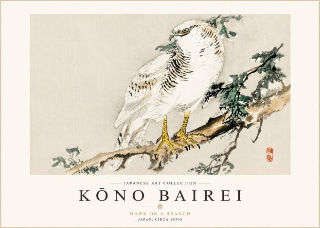 Kōno Bairei Hawk on a Branch No3 - Plakát
