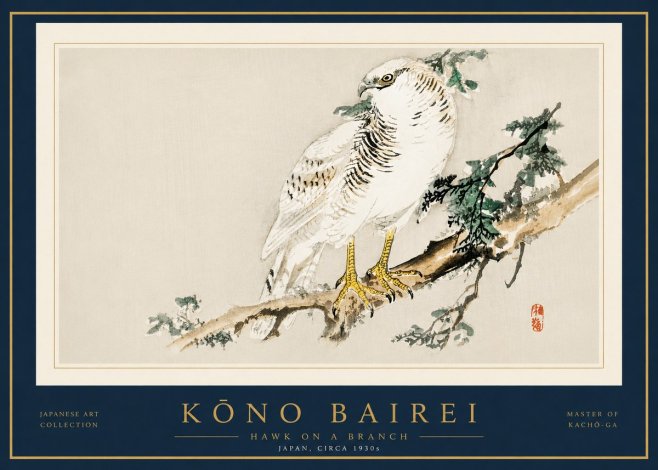 Kōno Bairei Hawk on a Branch No5 - Plakát