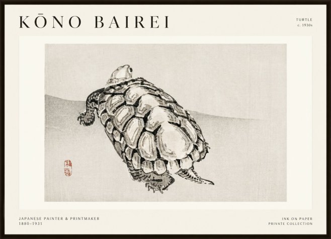 Kōno Bairei Turtle No1 - Plakát