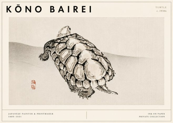 Kōno Bairei Turtle No3 - Plakát