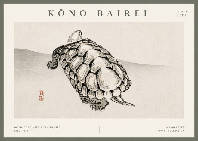 Kōno Bairei Turtle No5 - Plakát
