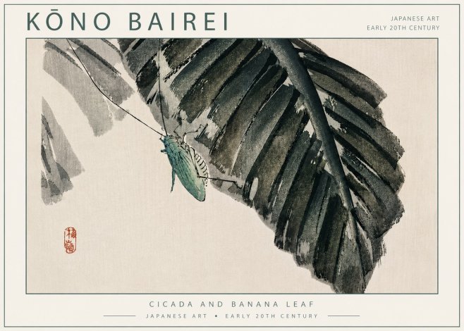 Kōno Bairei Cicada and Banana Leaf No5 - Plakát