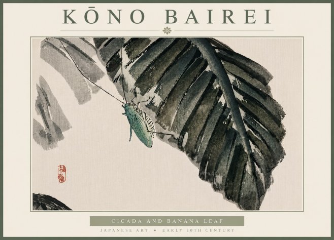 Kōno Bairei Cicada and Banana Leaf No6 - Plakát