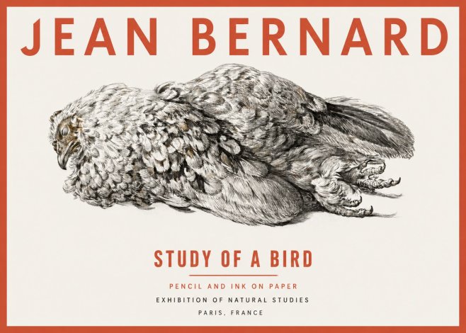 Jean Bernard Study of a Bird I No2 - Plakát