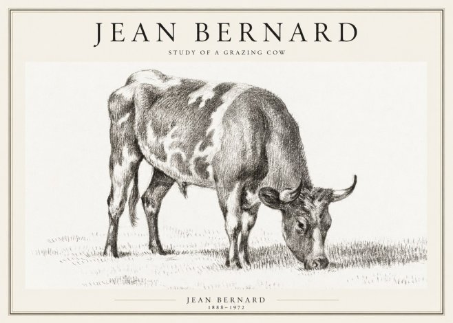 Jean Bernard Grazing Cow I No2 - Plakát