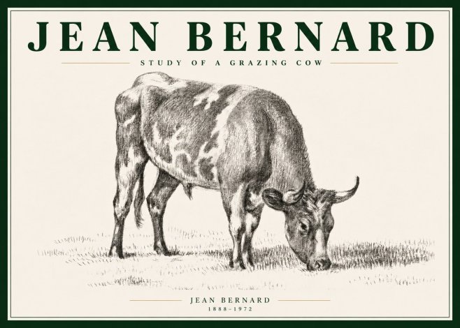 Jean Bernard Grazing Cow I No5 - Plakát