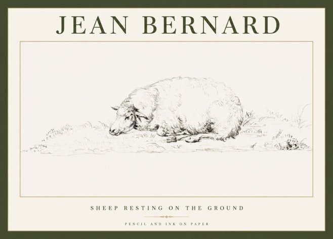 Jean Bernard Sheep Resting on the Ground No1 - Plakát