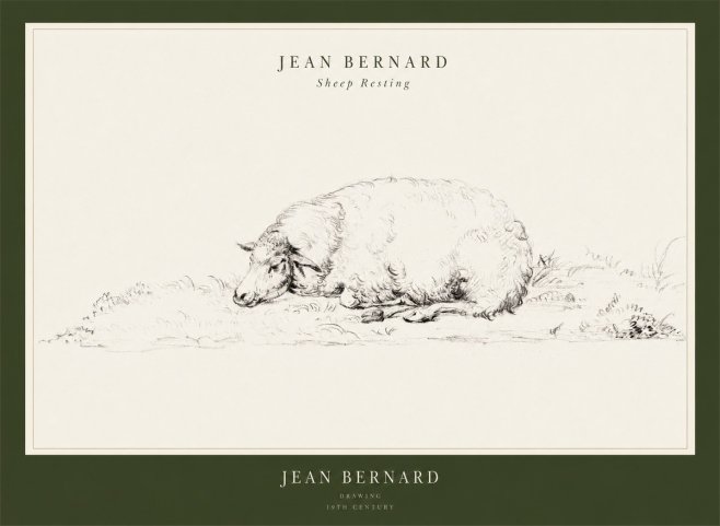 Jean Bernard Sheep Resting on the Ground No3 - Plakát