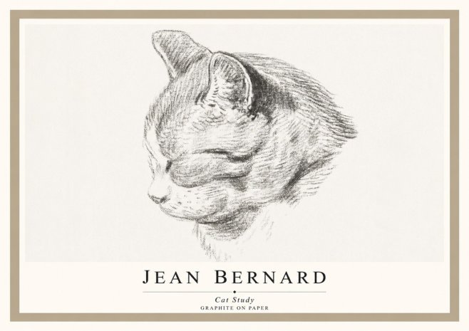 Jean Bernard Cat Study I No1 - Plakát