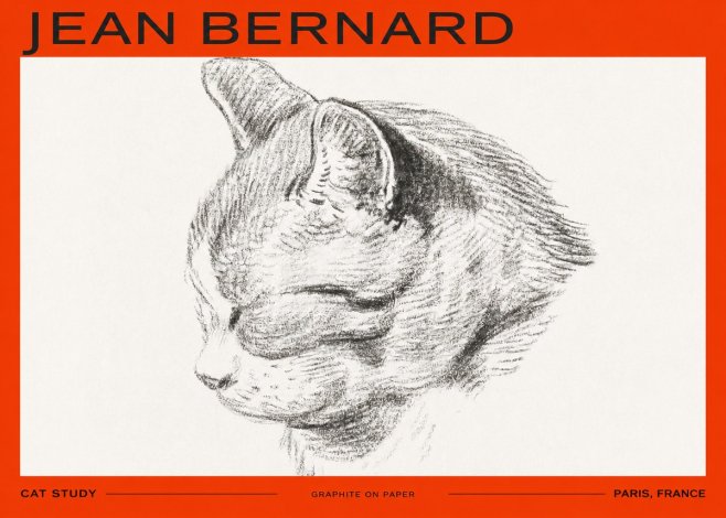 Jean Bernard Cat Study I No2 - Plakát