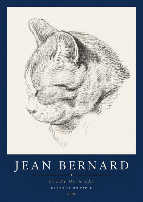 Jean Bernard Cat Study I No5 - Plakát