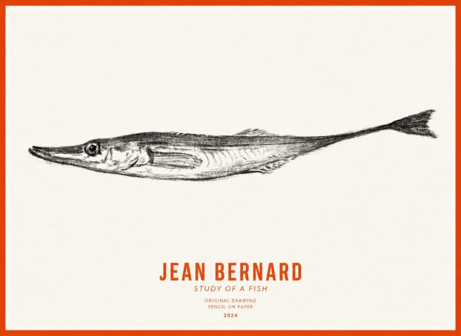 Jean Bernard Study of a Fish I No3 - Plakát