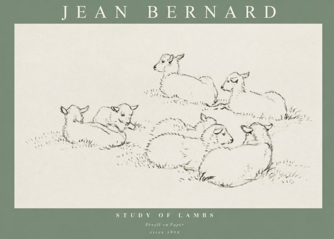 Jean Bernard Study of Lambs No1 - Plakát