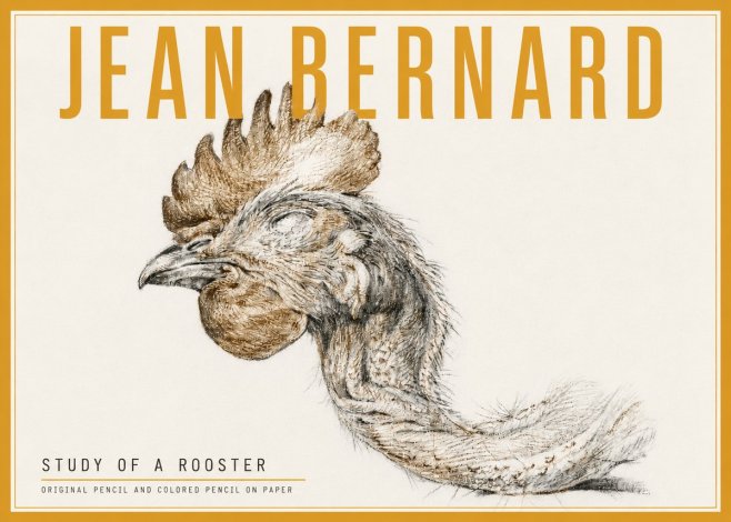 Jean Bernard Study of a Rooster Head No5 - Plakát
