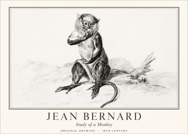 Jean Bernard Study of a Monkey No1 - Plakát