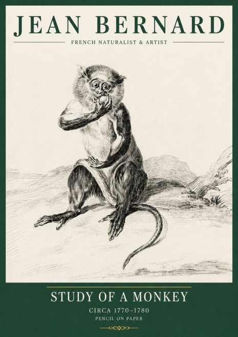 Jean Bernard Study of a Monkey No5 - Plakát